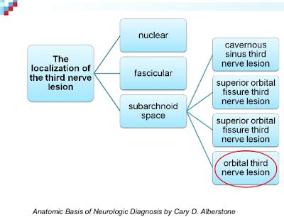 Cranial Nerve Lesion - IM Reference Internal Capsule, Facial Nerve ...