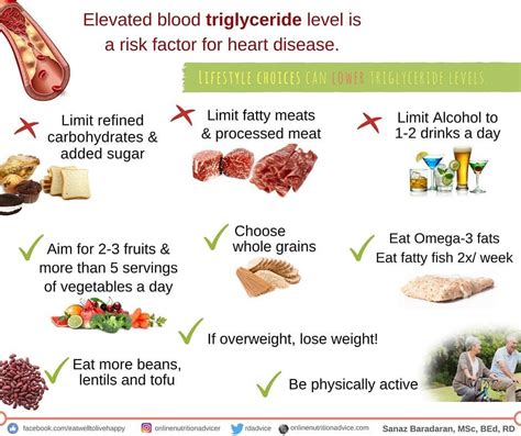 Lifestyle and Dietary Choices that can Help Lower Triglyceride Levels ...