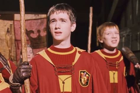 Which Quidditch Position Is For You? | Quidditch positions, Quidditch ...