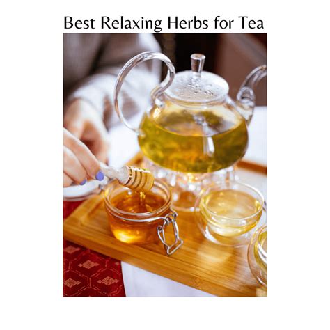 Best Relaxing Herbs For Tea - The Rooted Haven