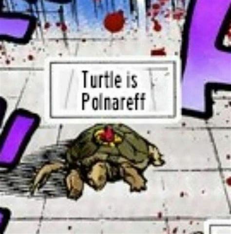 Turtle Is Polnareff : r/ZeroContextJoJo