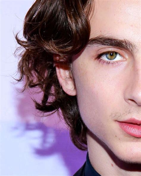 Timothée Chalamet - Brant Redman