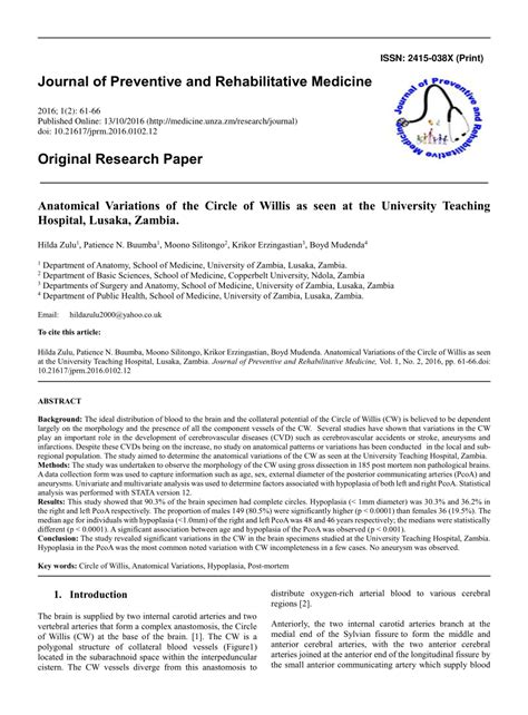 (PDF) Anatomical Variations of the Circle of Willis as seen at the ...