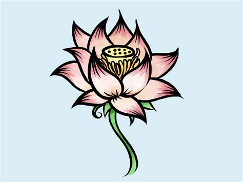 Lotus Flower Drawing Flower Drawing Easy Cartoon Drawings | Images and ...