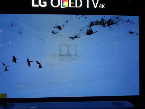 LG OLED TV at US retailer shows burn-in | ZDNet