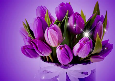 Download Purple Flower Purple Ribbon Sparkles Tulip Man Made Flower HD ...