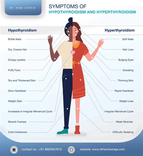 WHAT ARE THYROID DISORDERS: CAUSES, TREATMENT AND MORE