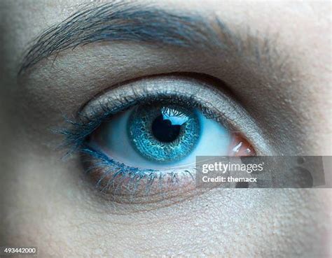 32,888 Sapphire Blue Eyes Stock Photos, High-Res Pictures, and Images ...