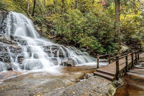 The Great Smoky Mountains National Park Hiking Challenge: 100 Miles in ...