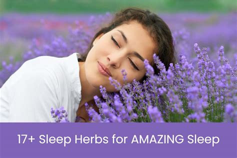 17 Best Herbs for Sleep - Sleeping.com