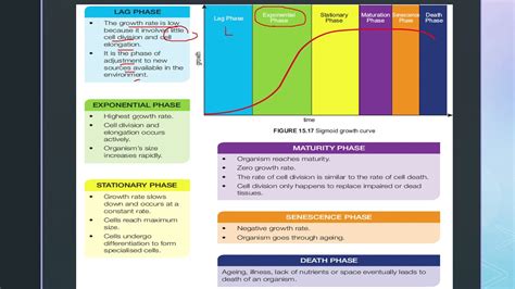 Sigmoid Growth Curve - YouTube