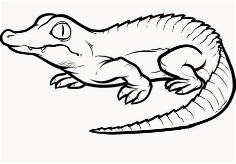 Crocodile Pokemon Coloring Pages - Pokemon Drawing Easy