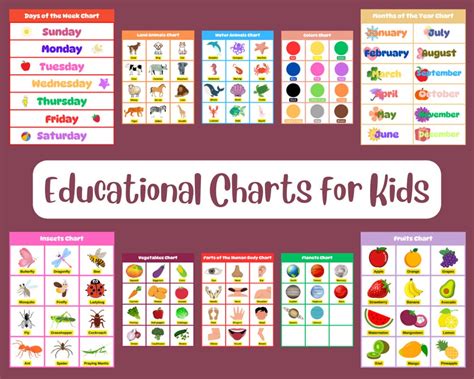 Printable Educational Charts for Kids - Etsy