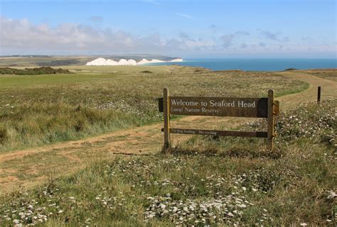 Seaford Head Nature Reserve and Seven Sisters - Beautiful England Photos