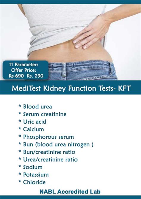 Kidney Function Test- KFT- RFT 11 Tests @Rs 290 | Free Home sample pickup