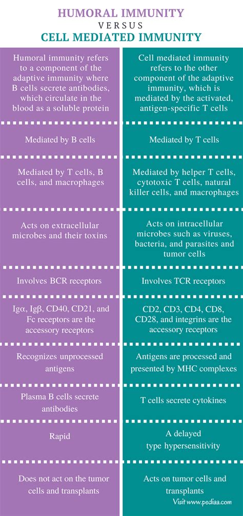 Humoral Vs Cell Mediated Immunity - ElianropMccarthy