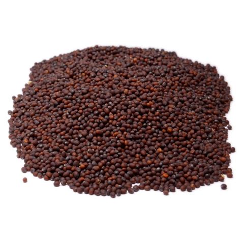 Brown Mustard Seed | Bulkfoods.com