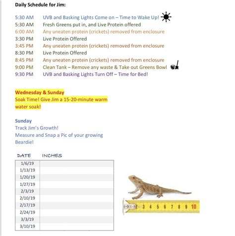 Printable Bearded Dragon Care Sheet