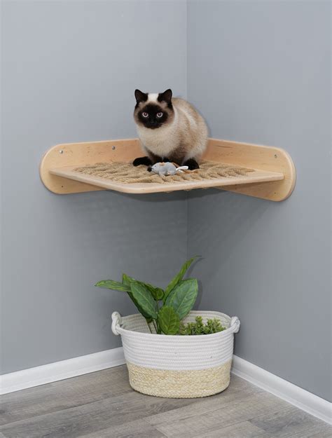 Cat wall bed Wooden pet shelf Cat shelf and bed Cat rope bed | Etsy