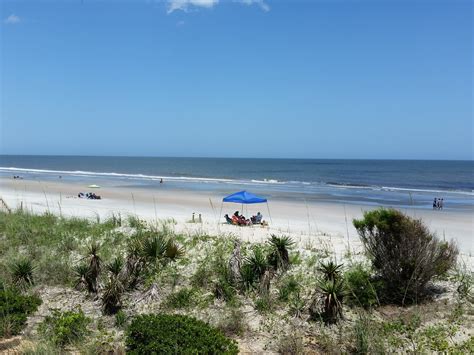 Georgetown County SC Beaches | Pet Friendly Travel