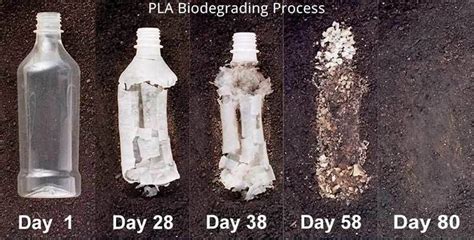 3D Printing Basics: Is PLA Recyclable? - Technipages