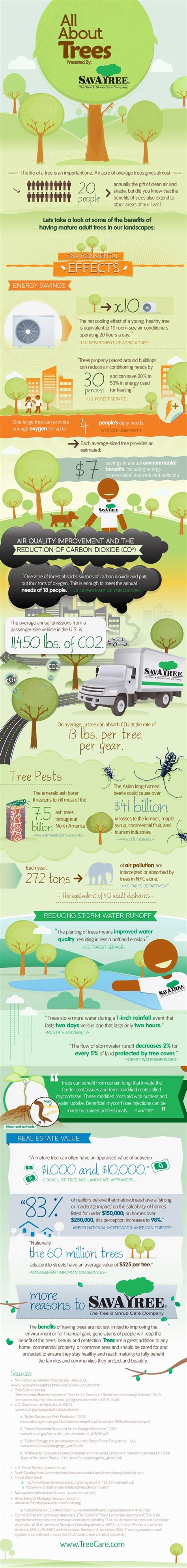 Benefits of Trees At-a-Glance - California ReLeaf