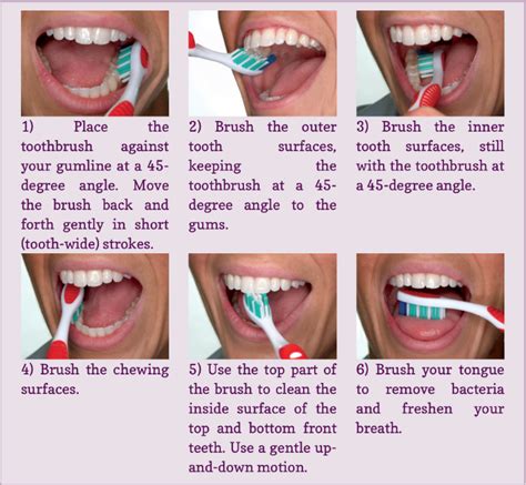 How to brush your teeth properly? - copywriterquotes.x.fc2.com