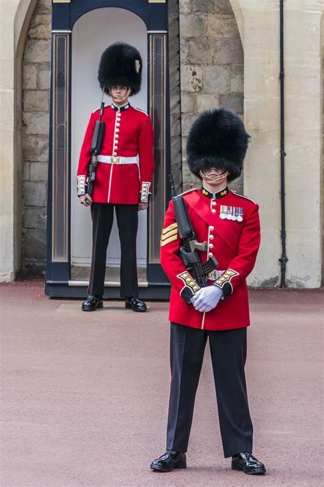 Buckingham Palace guard Stock Photo 01 free download