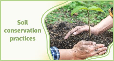 What are soil conservation practices? 🌳