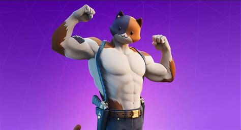 Fortnite Meowscles Cat