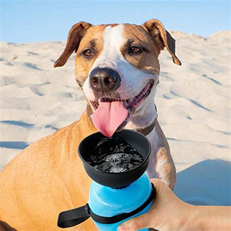 Pet Water Bottle for Dogs, dog water bottle foldable, Dog Travel Water ...