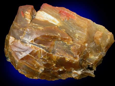 Photographs of mineral No. 29170: Quartz var. Petrified Wood from ...