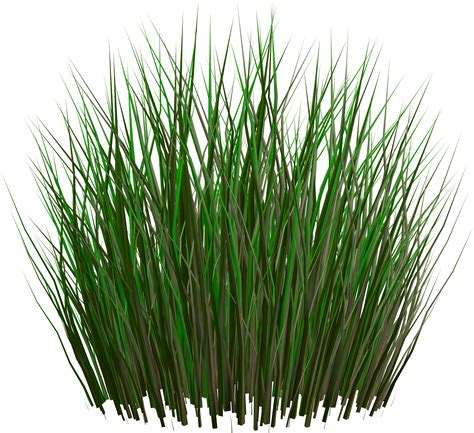 Grass PNG Image - PurePNG | Free transparent CC0 PNG Image Library