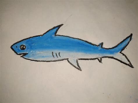 Shark drawing | Shark drawing, Fish drawings, Cartoon drawings