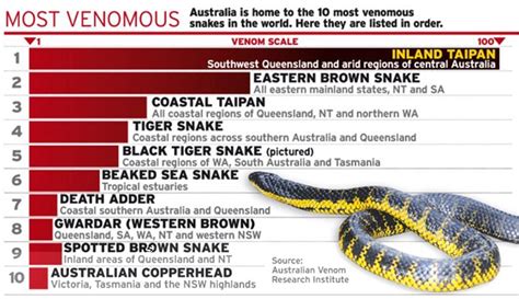 Wildlife : How to tell the difference between a venomous and non ...