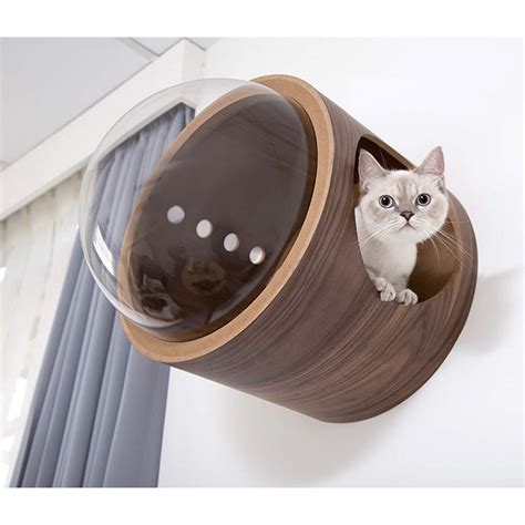 Modern Cute Cat Beds - Markoyxiana