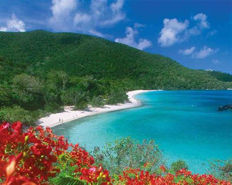 8 of the best beaches in and around the Caribbean