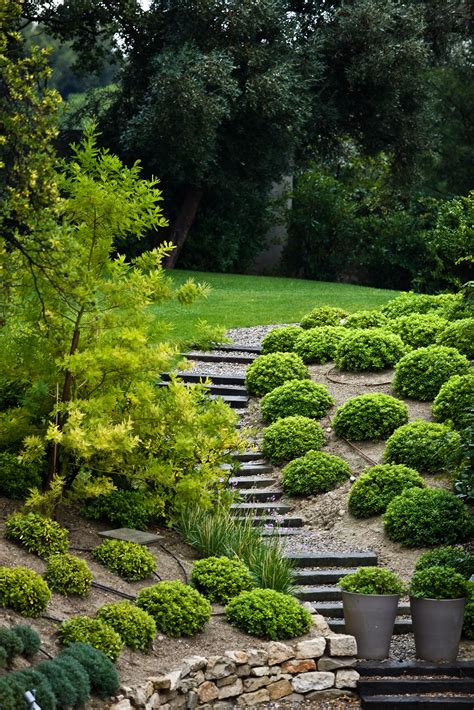 Steep Slope Landscaping Ideas Australia