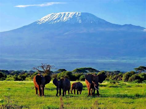 Tourist attractions in Amboseli National Park | Kenya Safari Tours