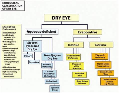 The Diagnosis and Management of Dry Eye Disease | Ento Key