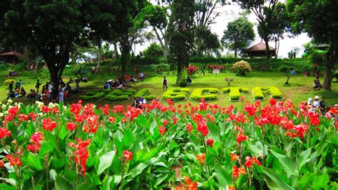 Taman Bunga Cantik di Indonesia | Pagguci