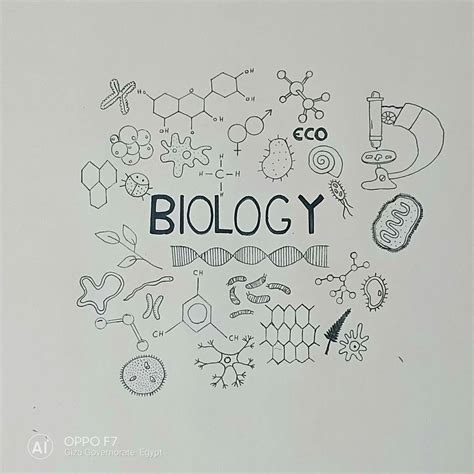 Biology doodles #doodles #biology #science | Science journal cover ...