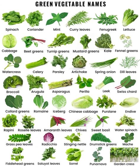 Green Vegetable Names in English - English