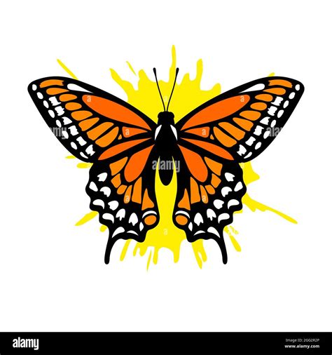 Butterfly stencil, vector icon design Stock Vector Image & Art - Alamy