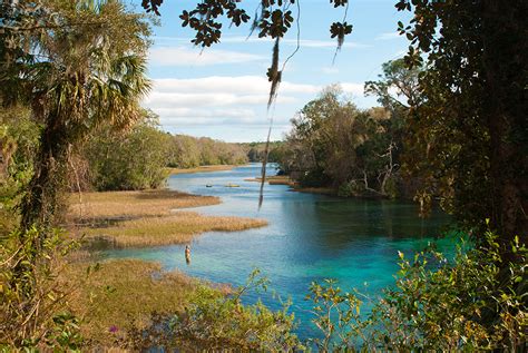 Rainbow Springs State Park | Florida Hikes