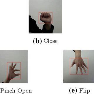 Five hand gestures in the UTAS7k dataset | Download Scientific Diagram