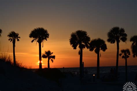 Palm Tree Sunset sun at Clearwater Beach FL