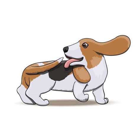 Best Dog Chasing Tail Illustrations, Royalty-Free Vector Graphics ...