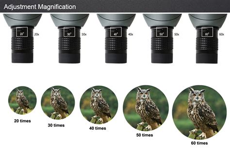 Spotting Scope Magnification Chart