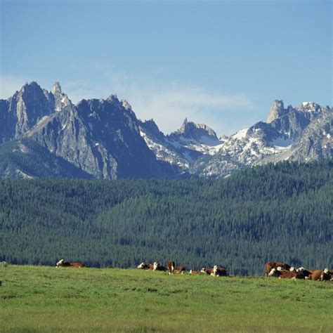 Camping Spots Near Featherville, Idaho | USA Today